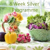 8 Week Silver Programme