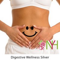 Digestive Wellness Silver Programme
