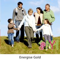 Energise Gold Programme